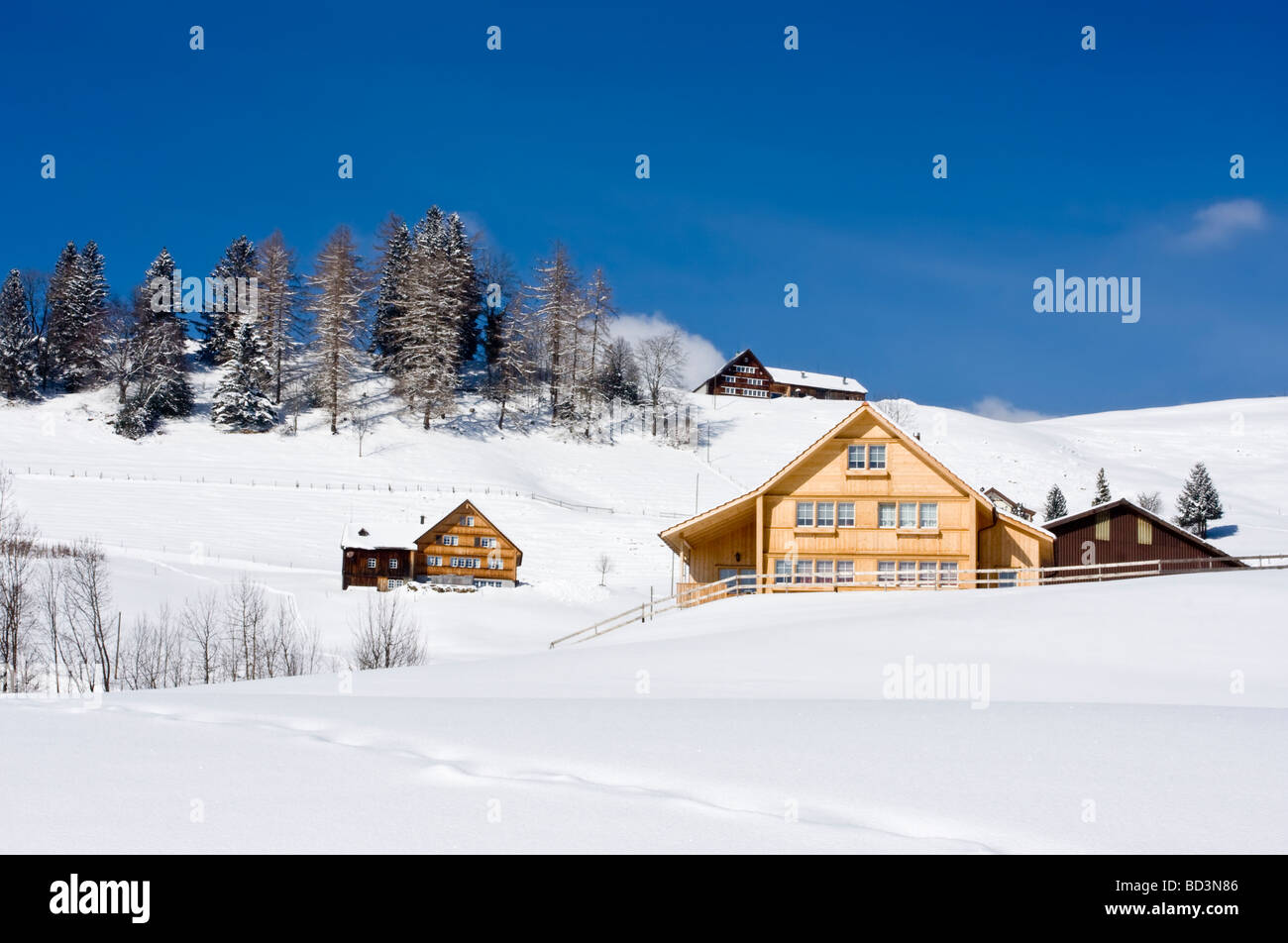 Case isolate nel paesaggio innevato vicino a Gais, Appenzell, Svizzera Foto Stock