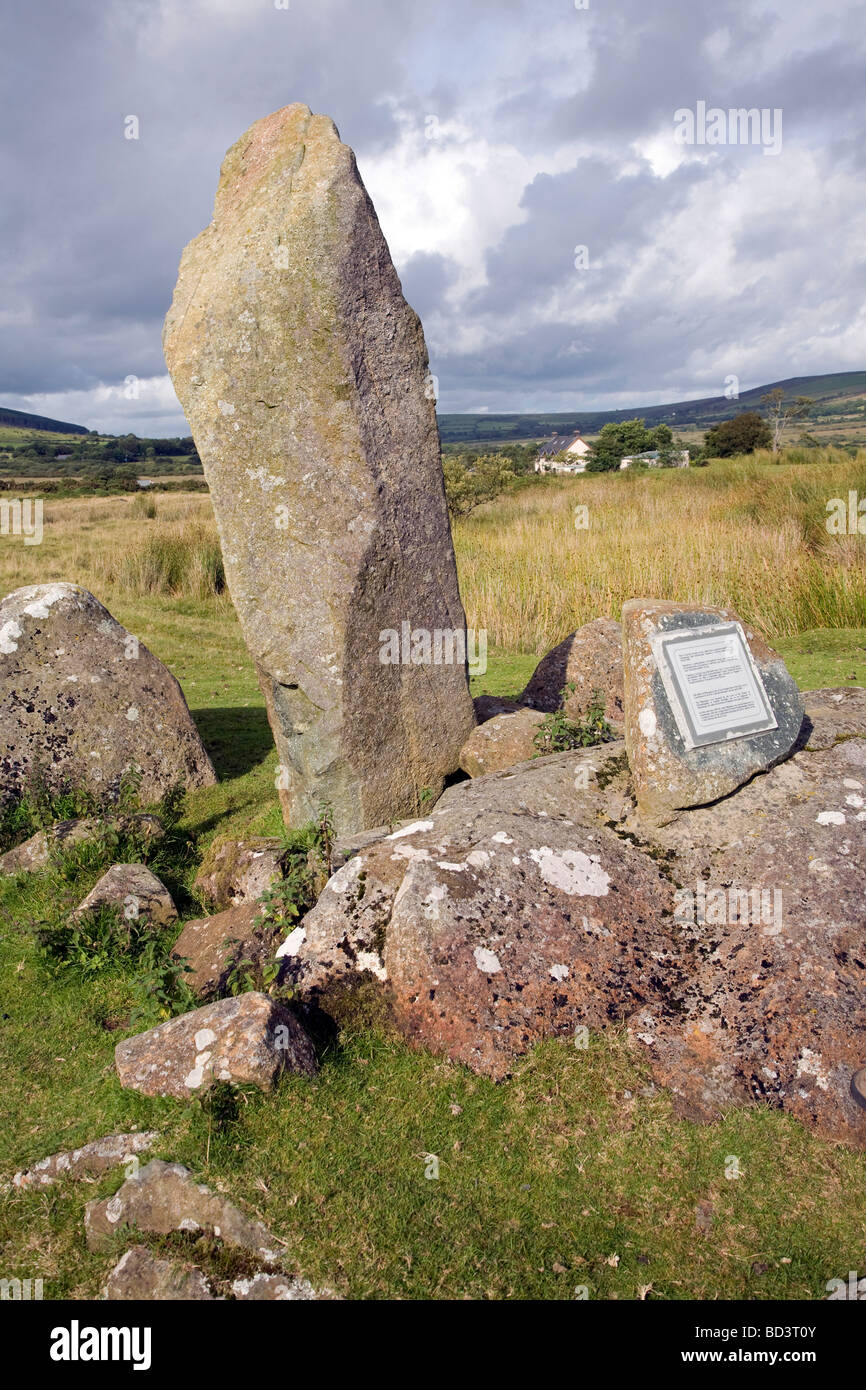 Moderni bluestone singola pietra megalitiche, vicino Mynachlogddu, Preseli Hills, Pembrokeshire, Galles Foto Stock