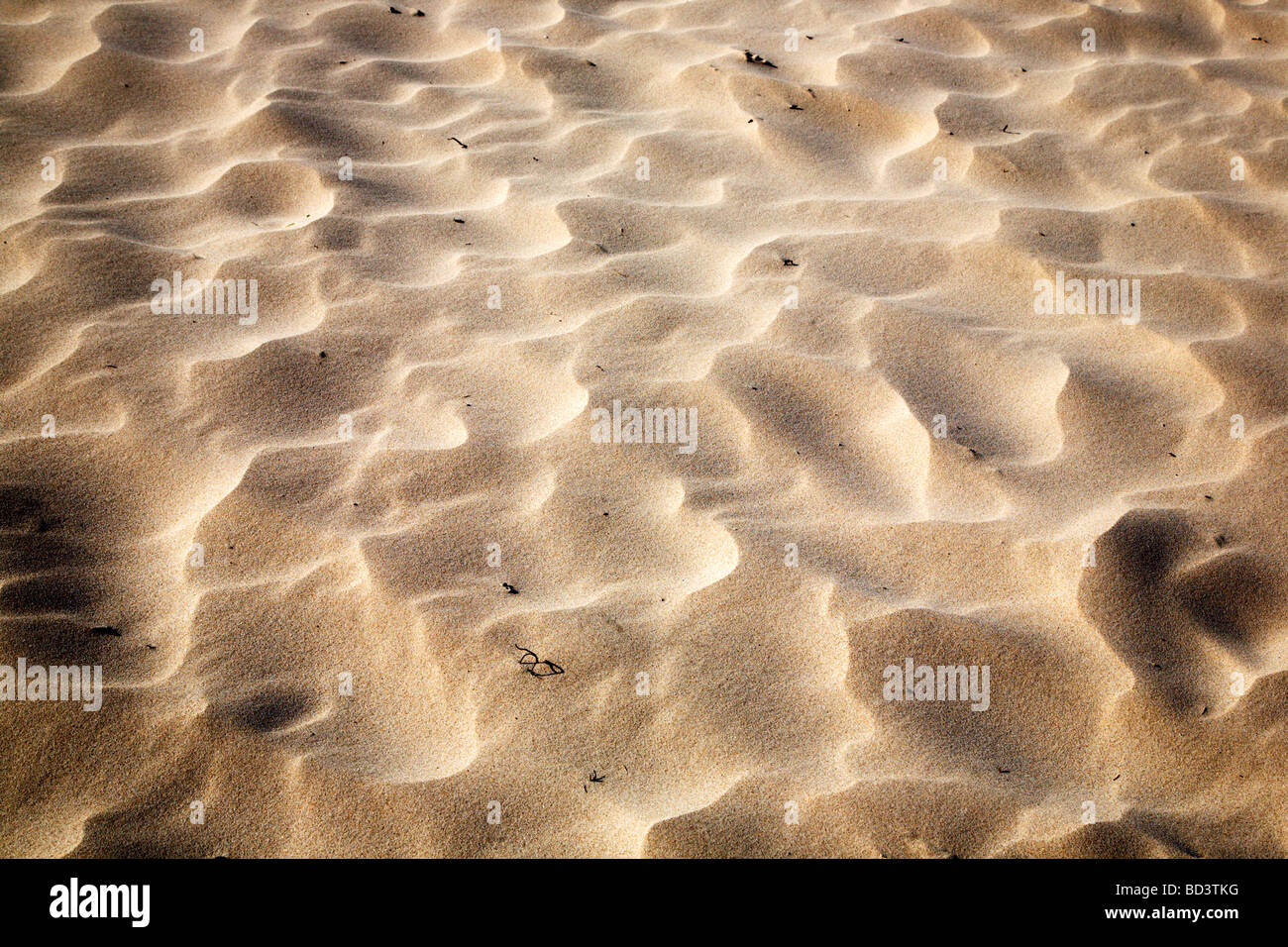 Modelli di sabbia formata dal vento Bamburgh Northumberland Inghilterra Foto Stock