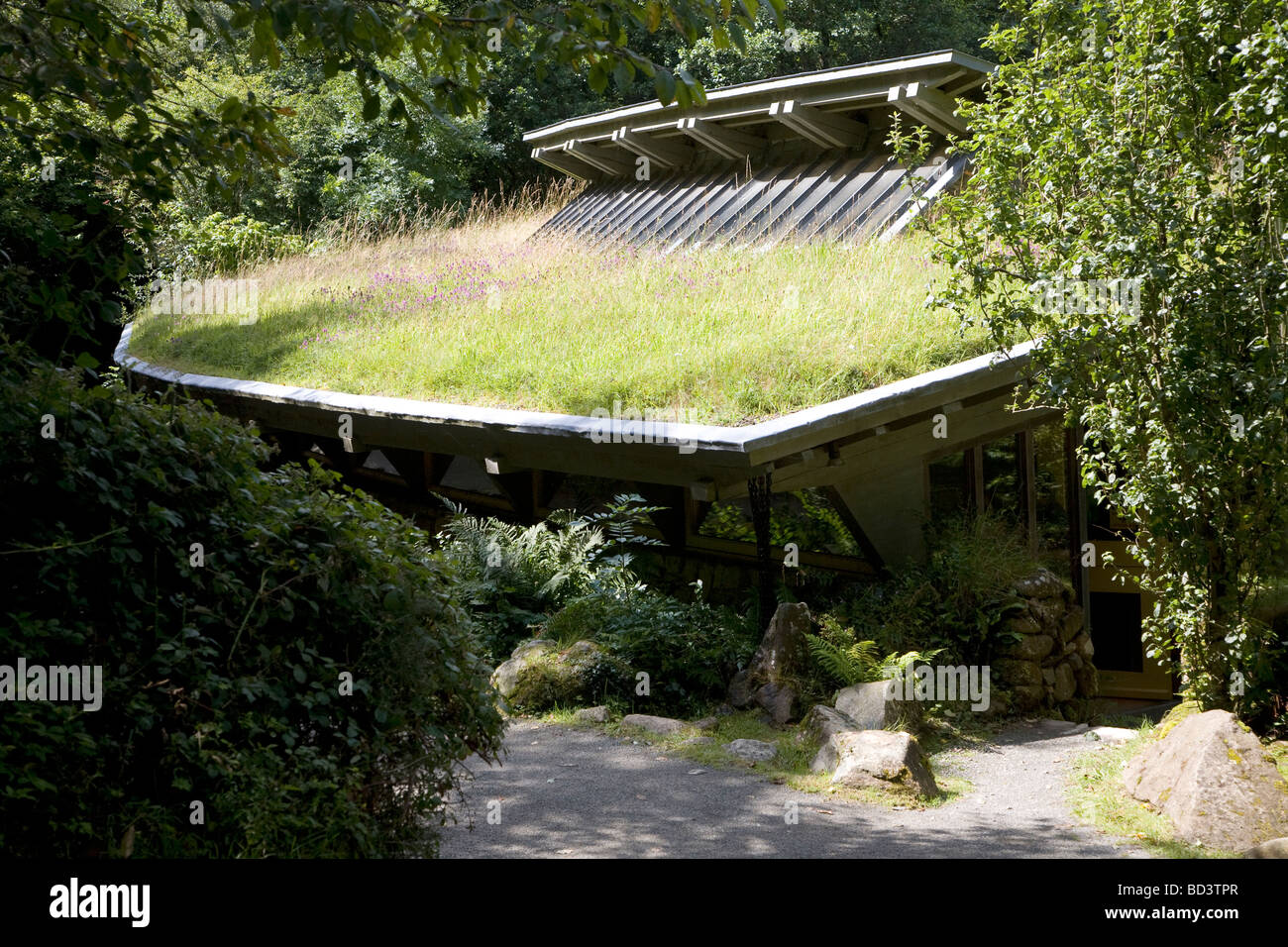 Tetto di erba education center Castell Henllys Iron Age Village Pembrokeshire Wales Foto Stock