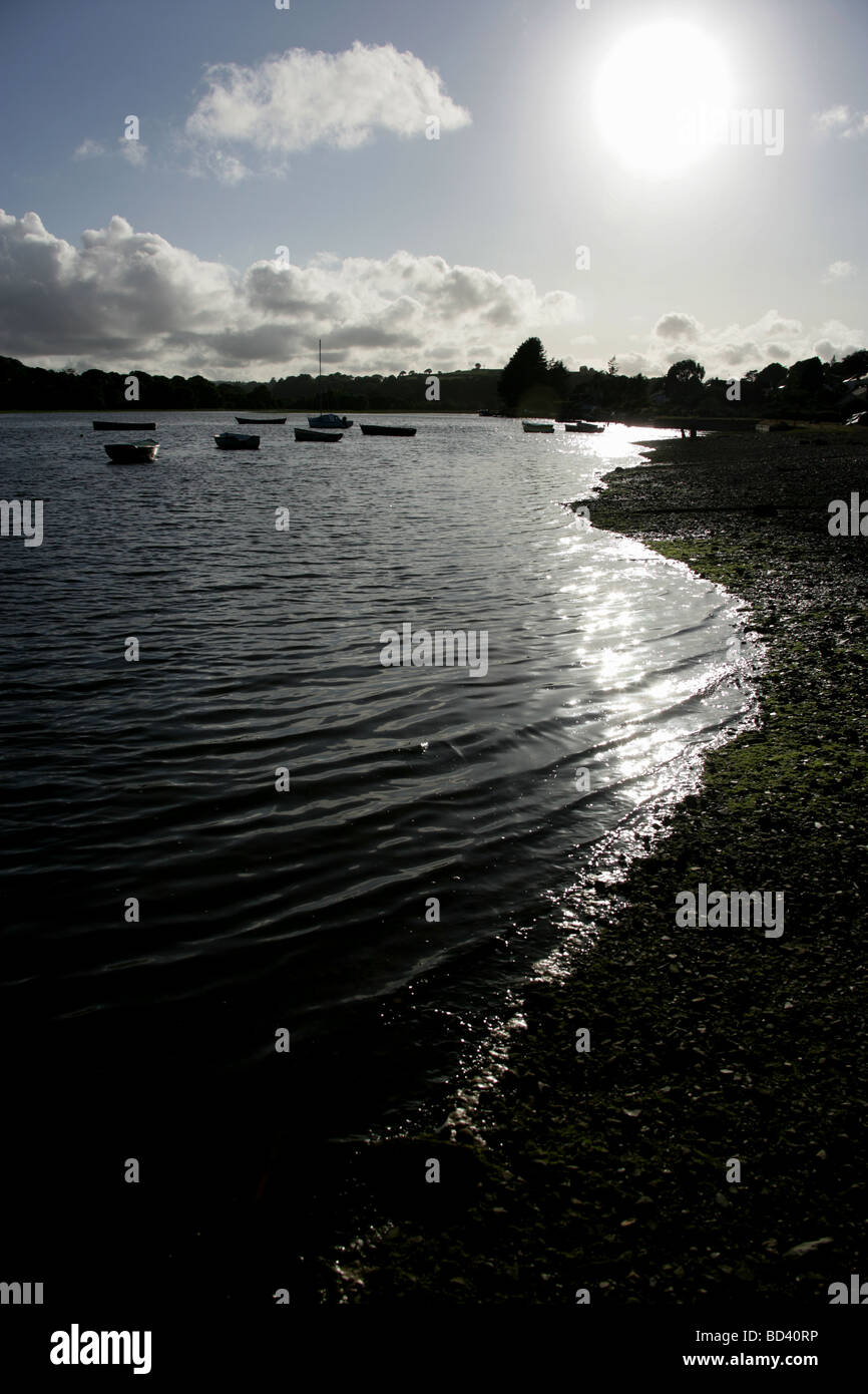 Città di Devoran, Inghilterra. Stagliano vista delle barche ormeggiate su Restronguet Creek vicino il Cornish città di Devoran. Foto Stock