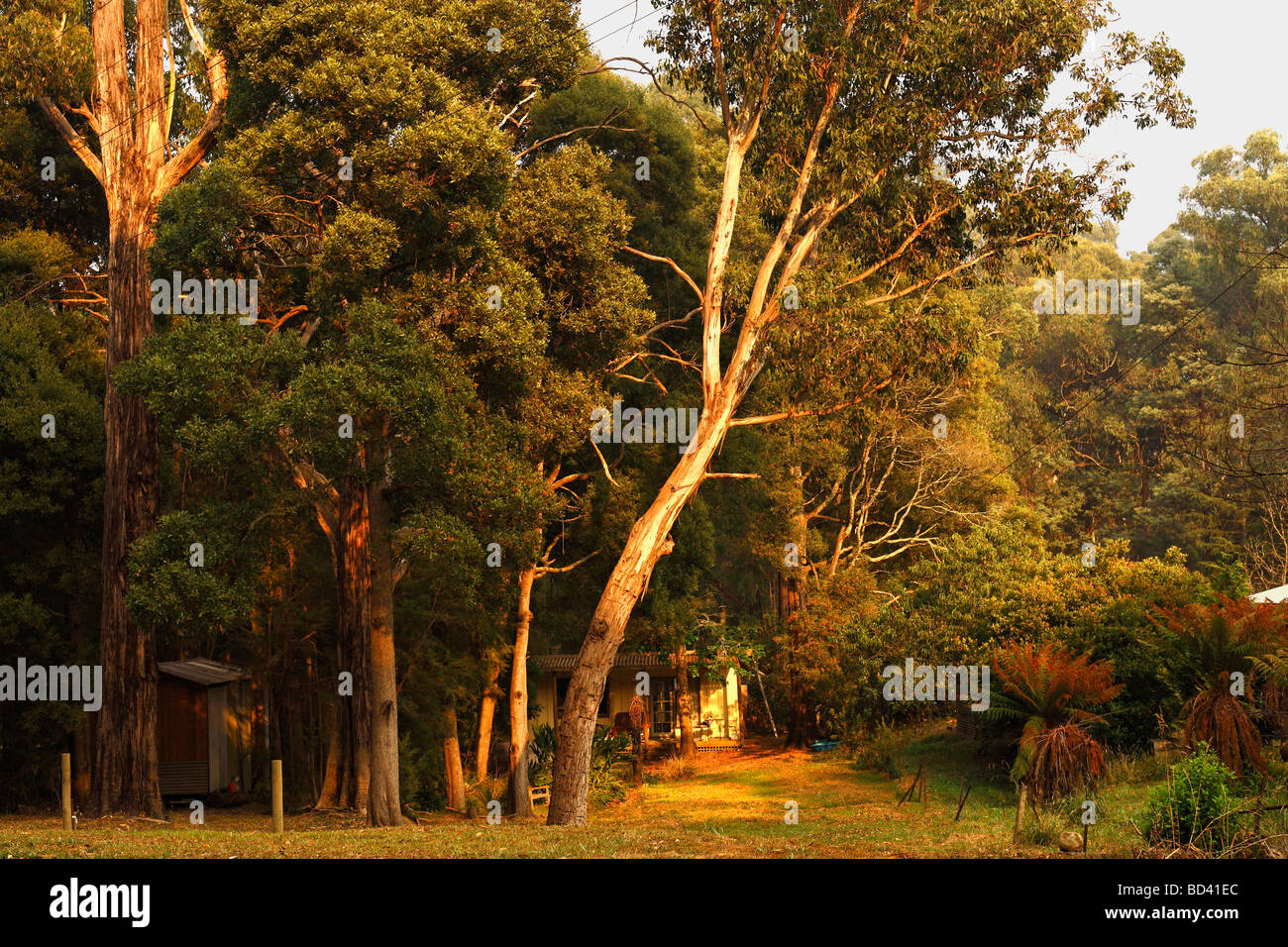 Australian country home in bushland Victoria Australia Foto Stock