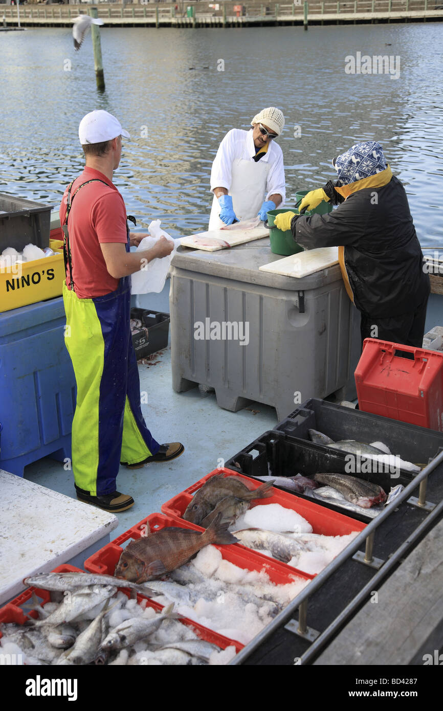 I pescatori la sfilettatura pesce sul retro della barca da pesca pronti per la vendita Foto Stock