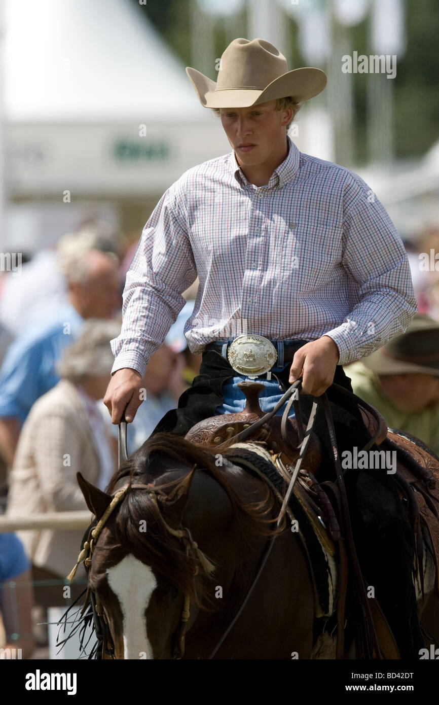 Cowboy su un American Quarter Horse Foto Stock