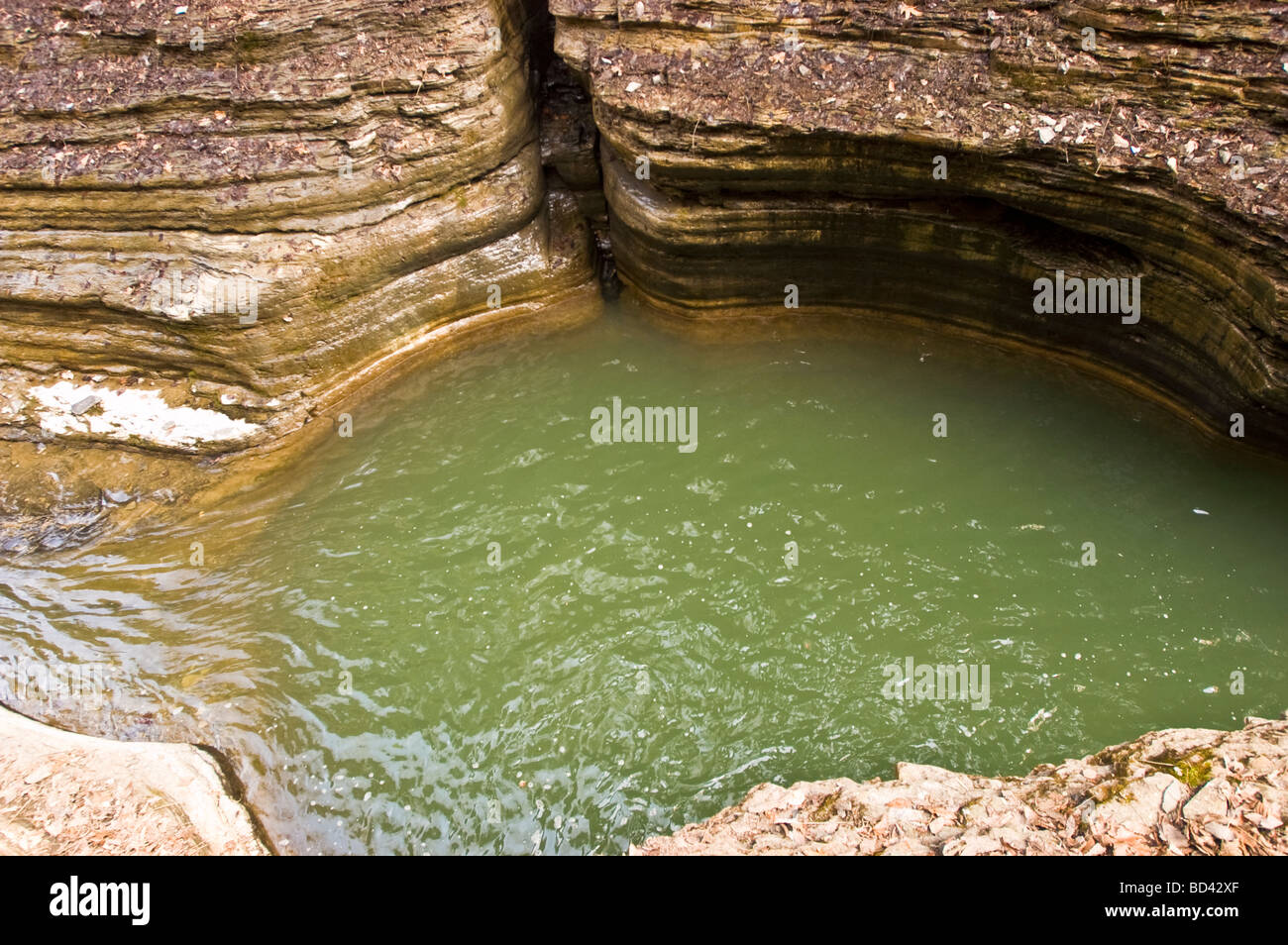Watkins Glen State Park , New York, Stati Uniti, STATI UNITI D'AMERICA, Stati Uniti d'America Foto Stock
