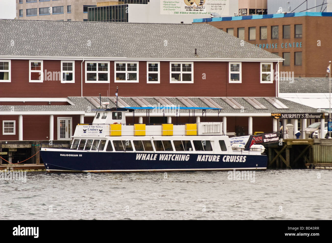 Halifax waterfront di edifici commerciali, Nova Scotia, Canada Foto Stock