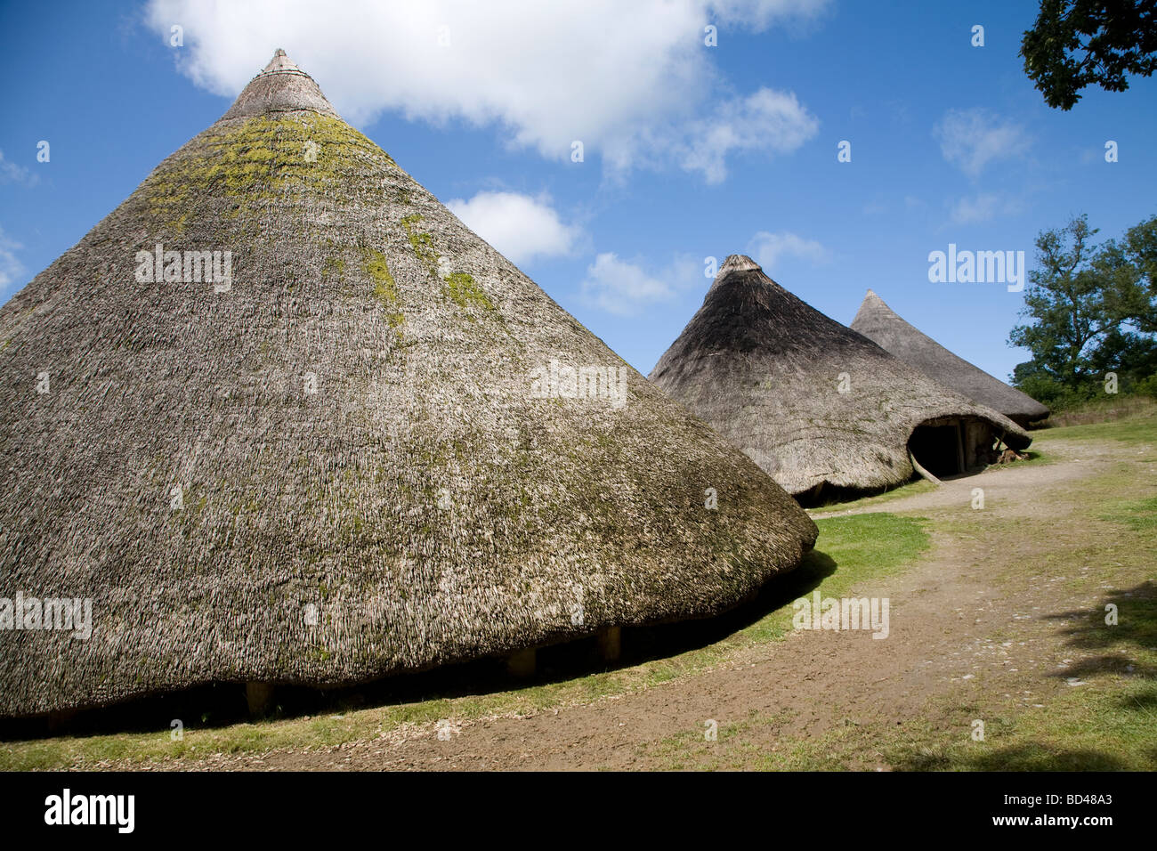 Castell Henllys Iron Age celtic case di villaggio Pembrokeshire Wales Foto Stock