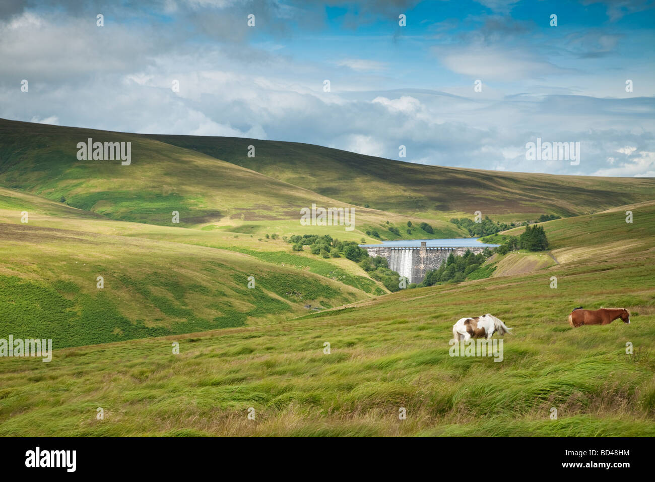 Grwyne Fawr serbatoio dalle pendici del Chwarel y Fyn Montagna Nera Monmouthshire Wales UK Foto Stock