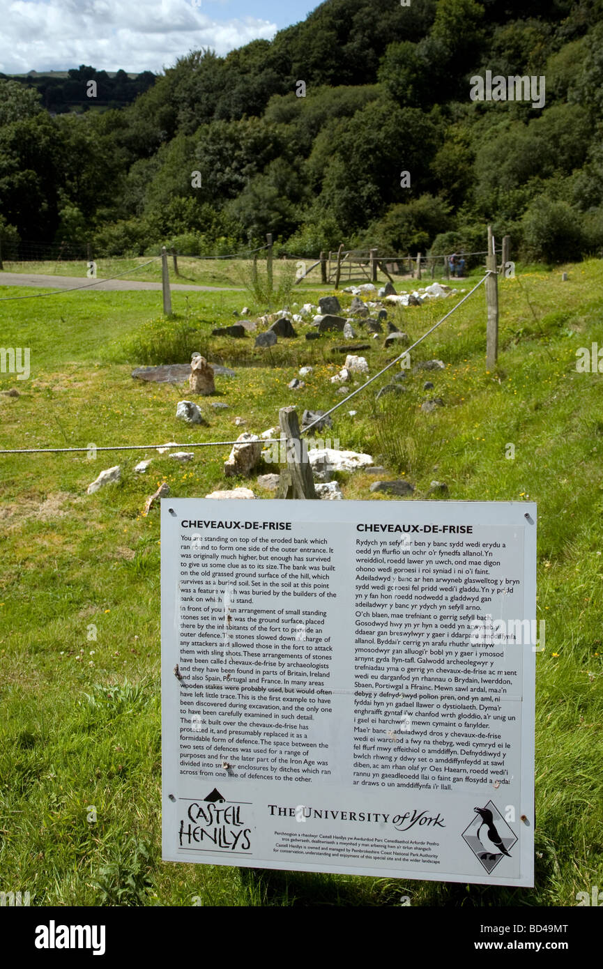 Cheveaux-de-frise difese Castell Henllys Iron Age Village Pembrokeshire Wales Foto Stock