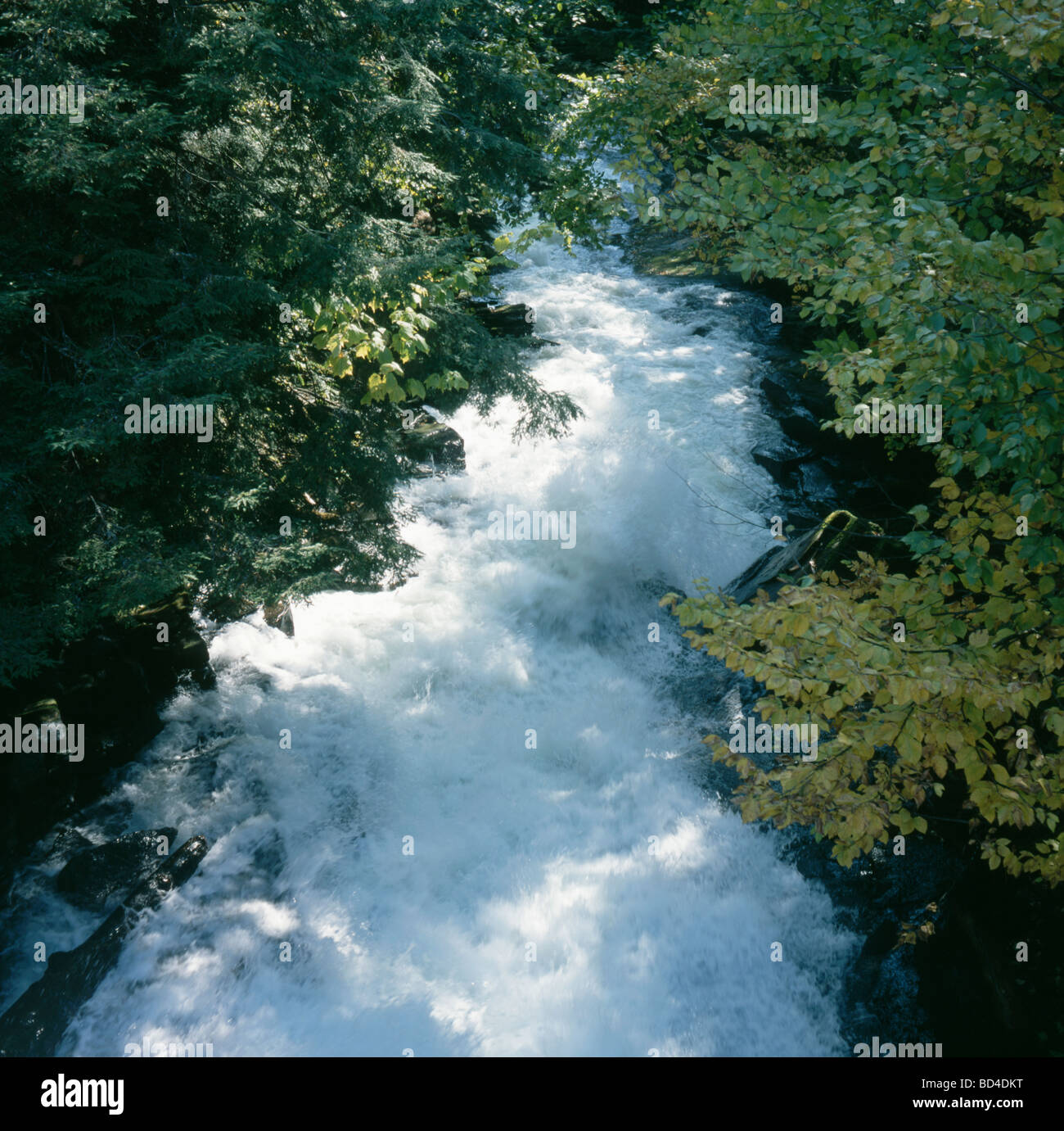 Rapids sotto Nunikani Diga lago Haliburton Ontario Canada Foto Stock