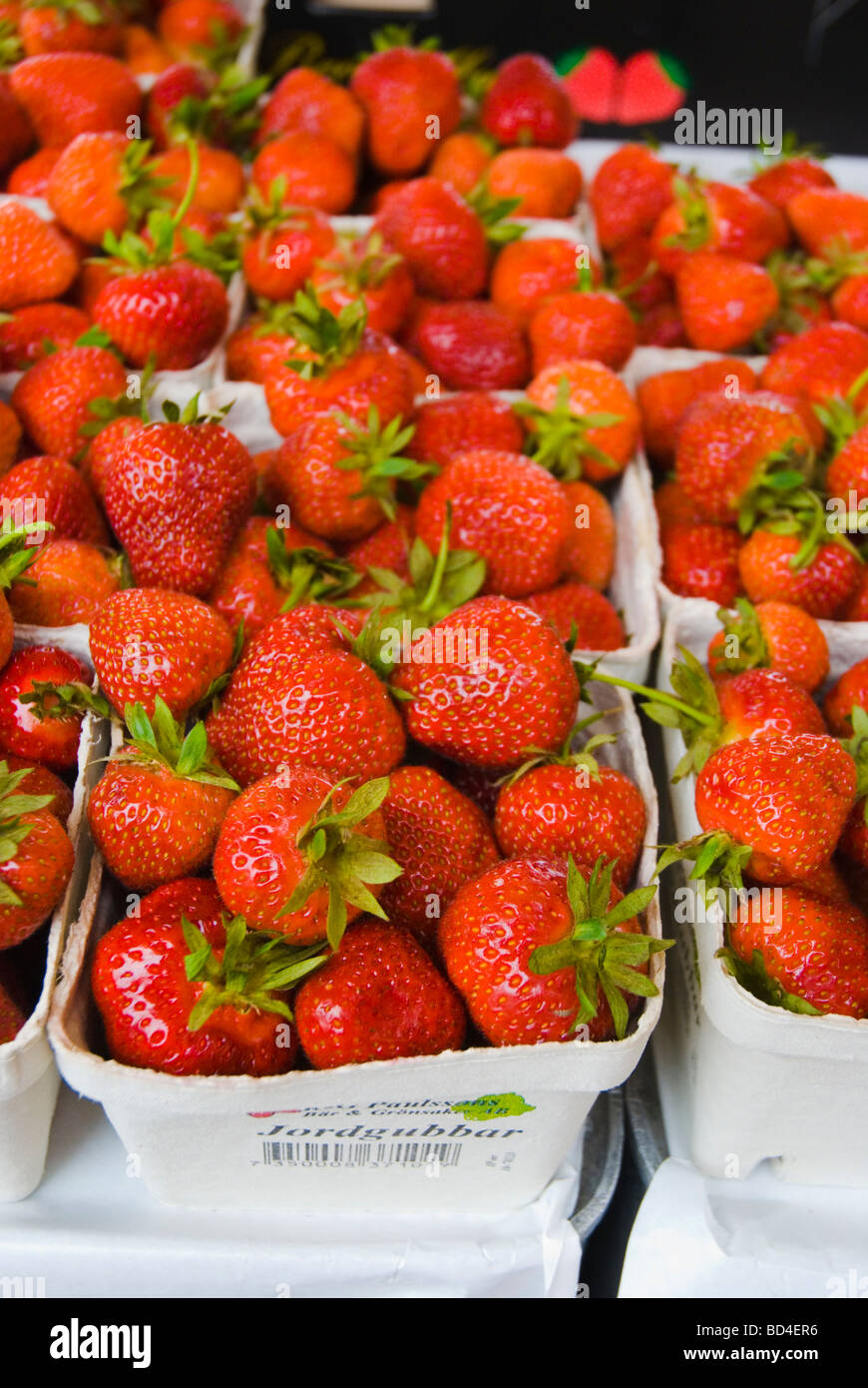 Fragole svedese per la vendita a Kungstorget Square nel centro di Gothenburg in Svezia in Europa Foto Stock