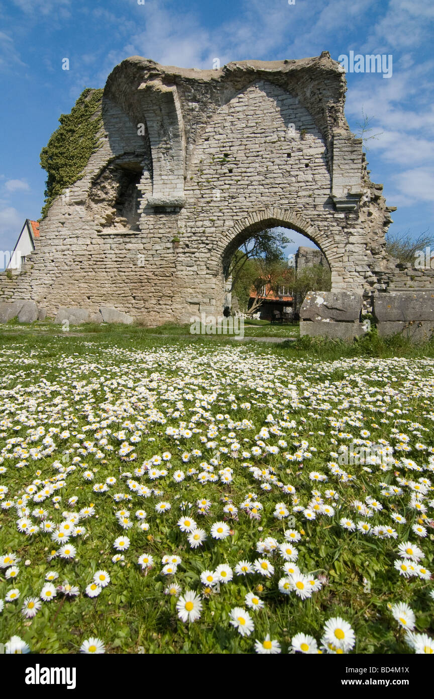 Pedane. e rovine. Campo delle pedane. davanti a S:t Pers rovina. Visby, Gotland (Svezia). Foto Stock