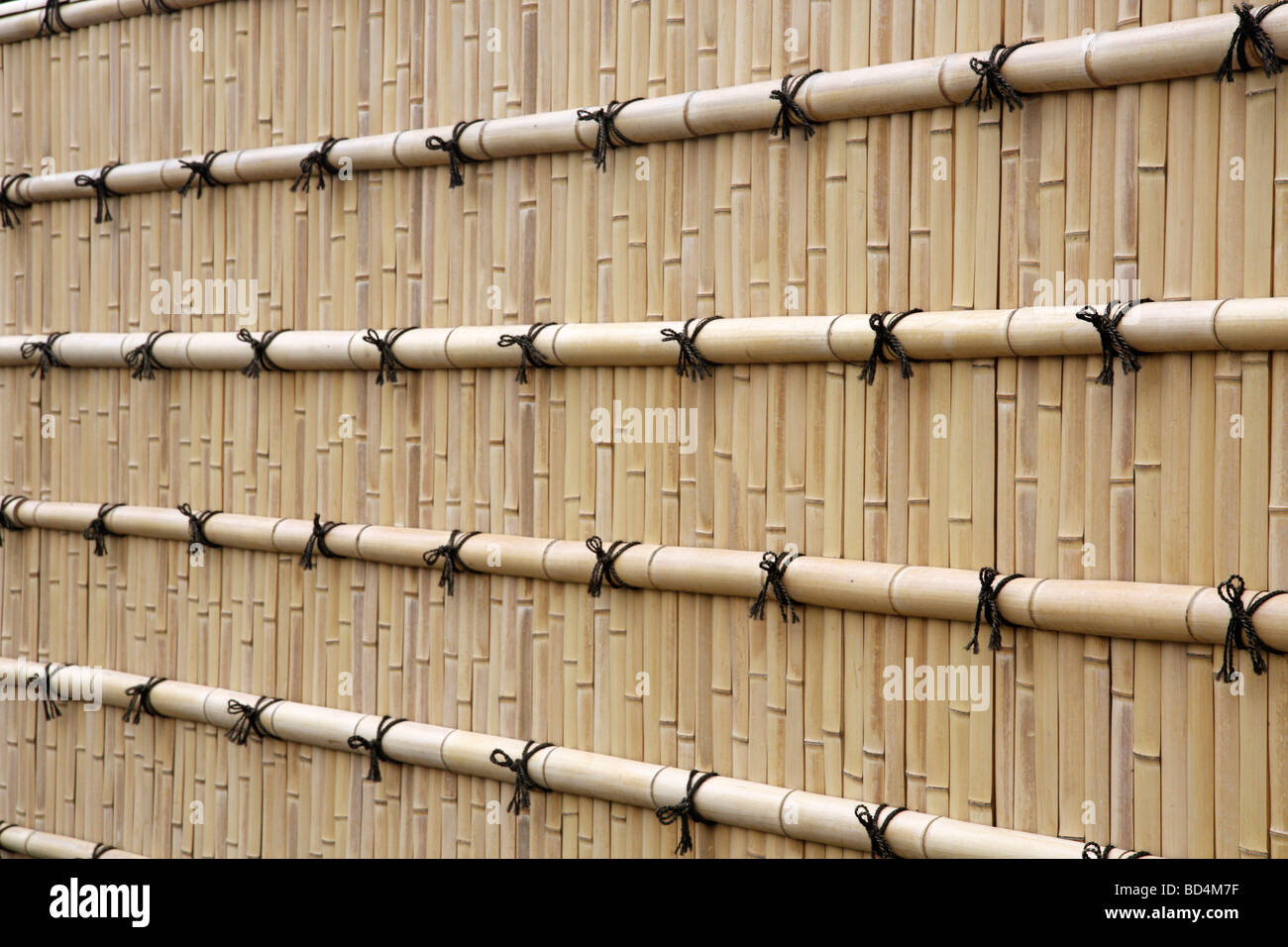Recinto di bambù in il castello di Nijo. Il protocollo di Kyoto. Kansai. Giappone Foto Stock