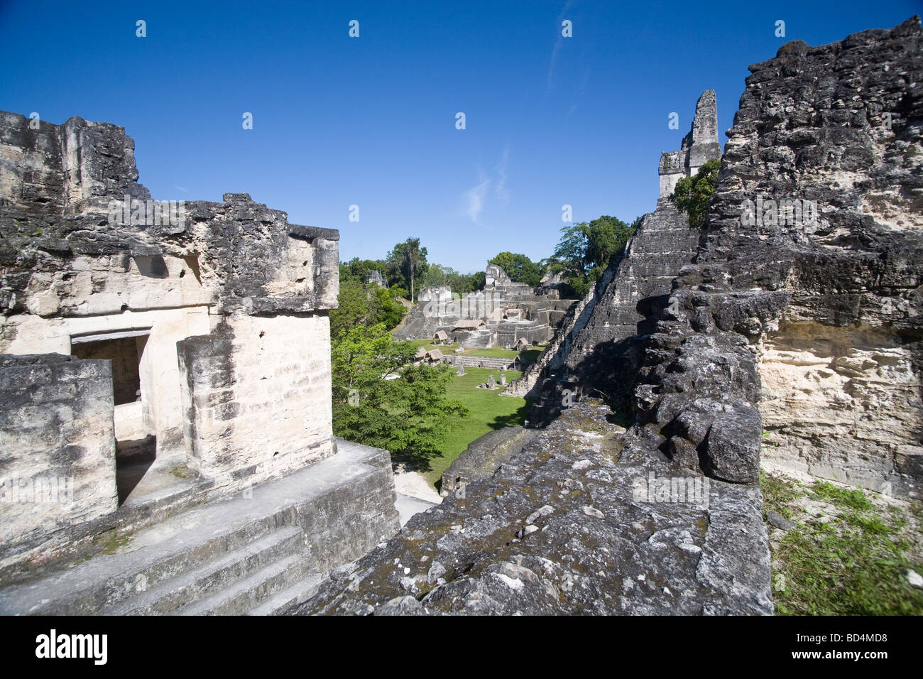 Rovine maya di Tikal, Guatemala Foto Stock