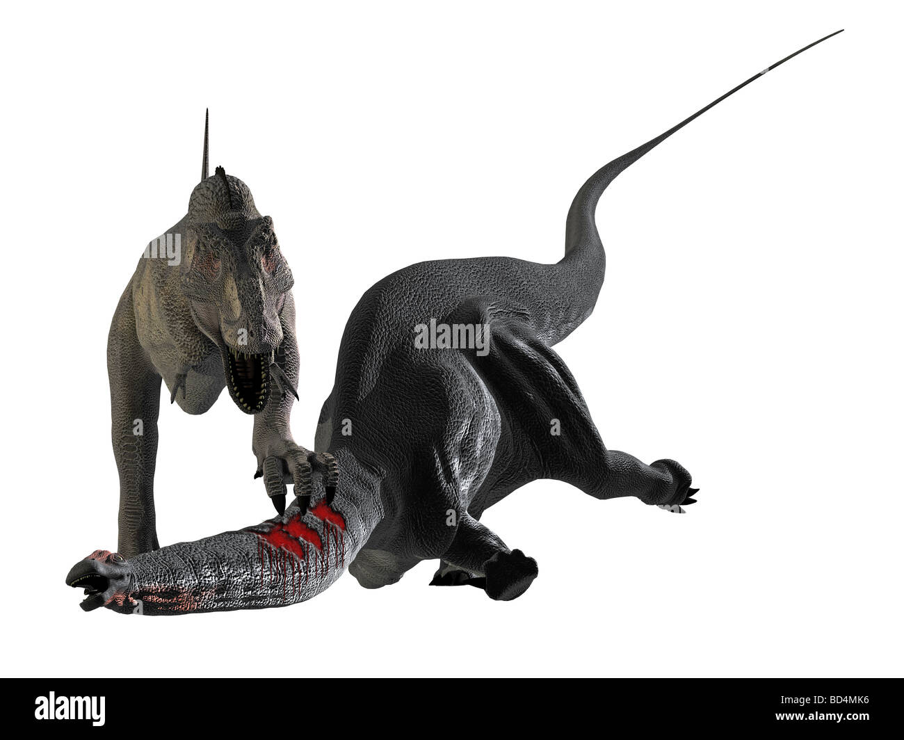 Tyrannosaurus Rex battaglie e sconfigge una grande Apatosaurus Foto Stock