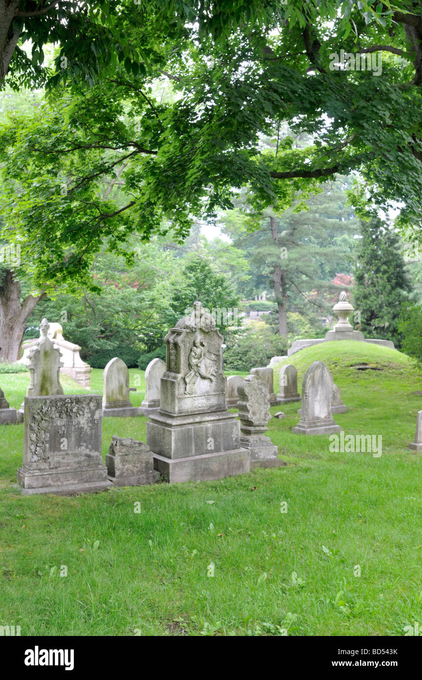 Lapidi al cimitero sotto gli alberi ombreggiati Foto Stock