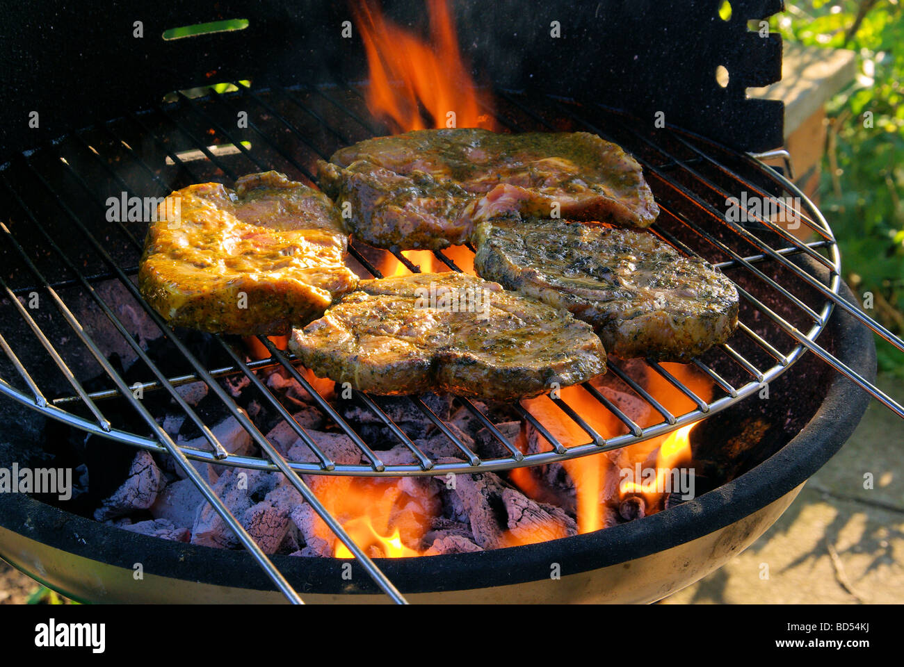 Grillen barbecue 86 Foto Stock