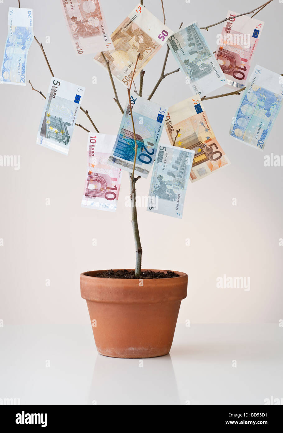 Il denaro cresce in una pentola Foto Stock