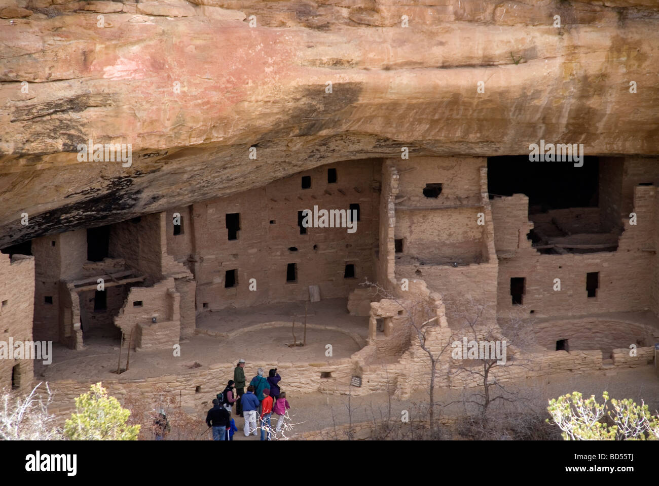 Grotta Peubloan case nel Parco Nazionale di Mesa Verde, Colorado. Foto Stock