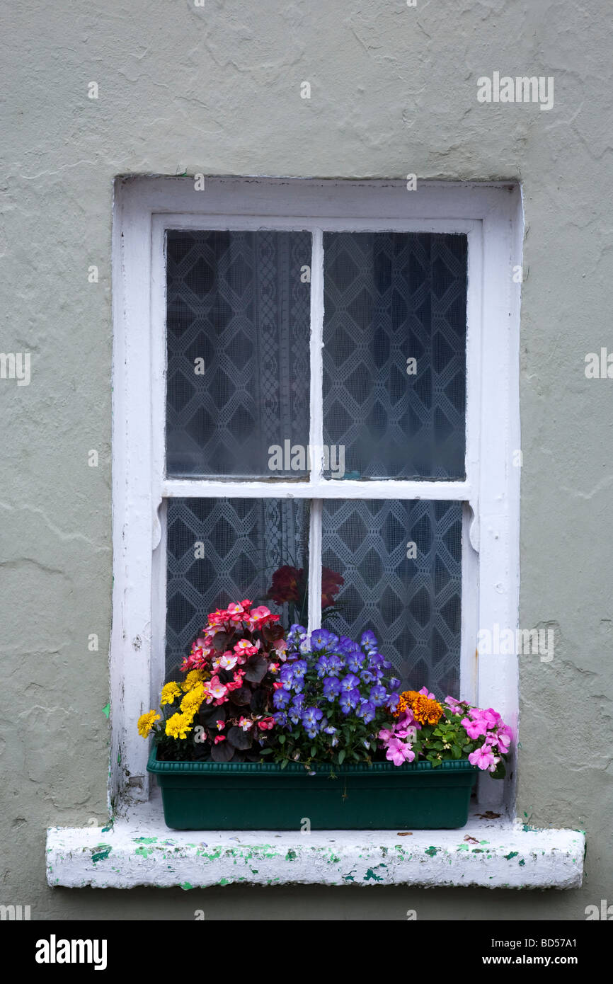 Case colorate Eyeries anello di Beara Contea di Kerry Irlanda Foto Stock