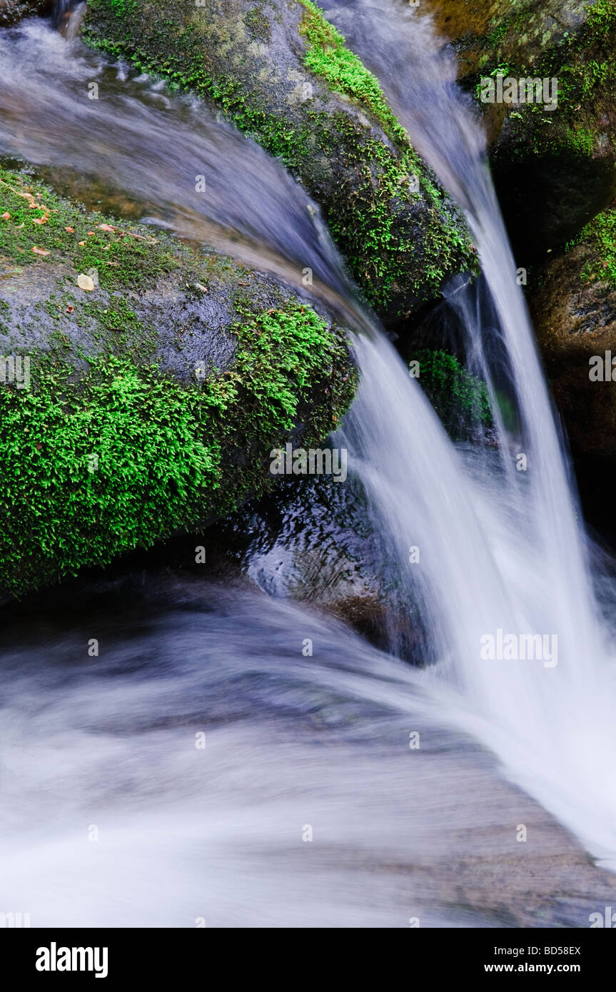 Torrente che scorre Foto Stock