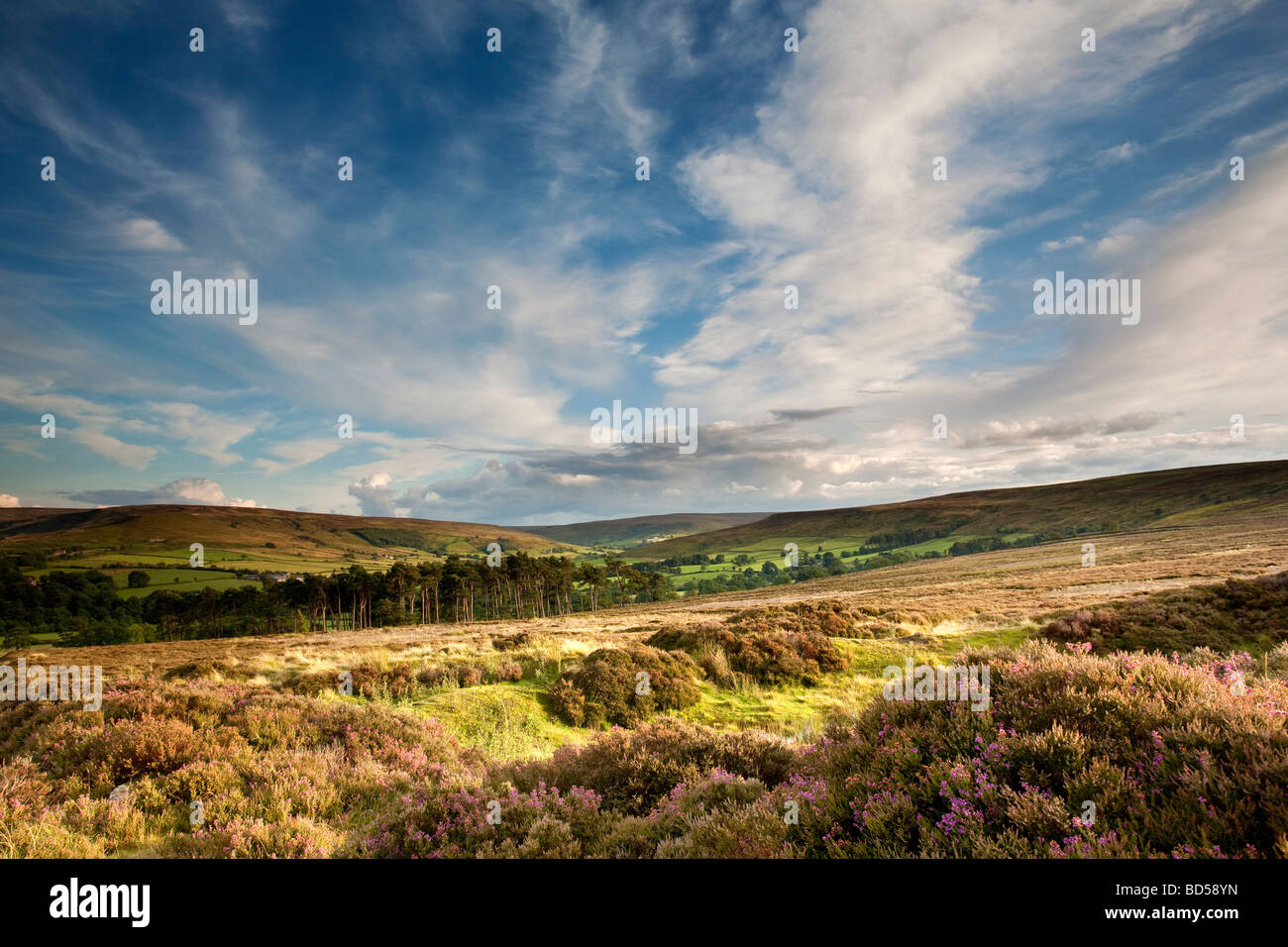 A tarda sera il sole in estate Westerdale North York Moors National Park Foto Stock
