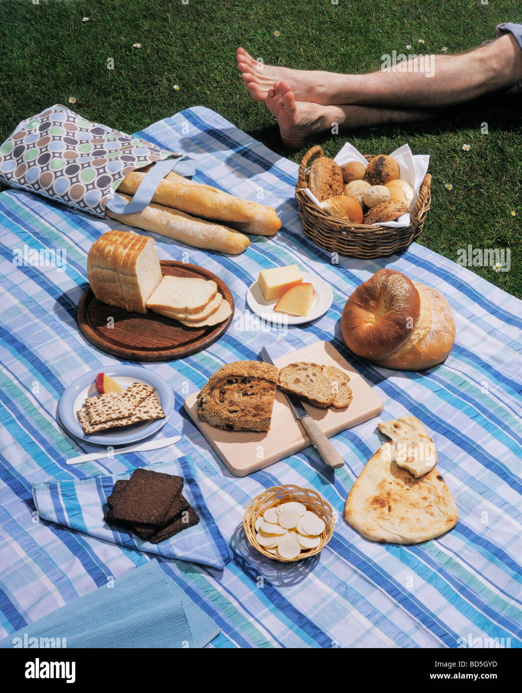 Pic-nic con vari tipi di pane su blue gingham foglio Foto Stock