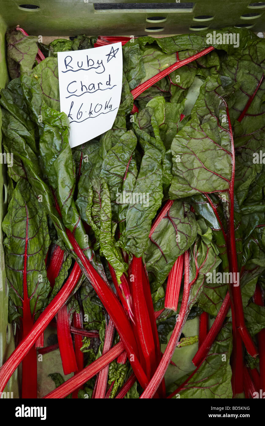 Organici di ruby chard sul mercato degli agricoltori in stallo Foto Stock