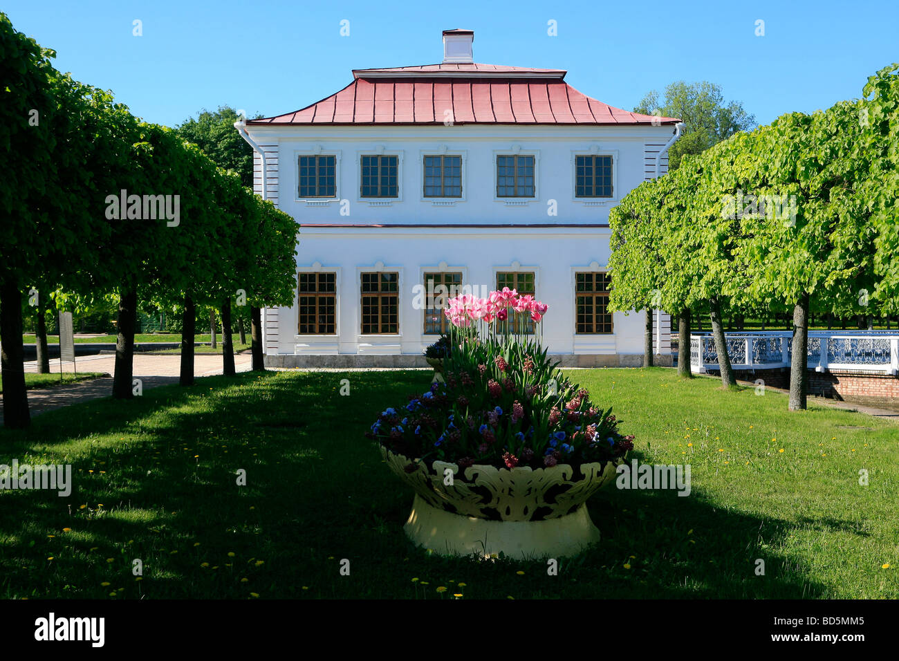 Il Palazzo di Marly in Giardini inferiori del xviii secolo Peterhof Palace a San Pietroburgo, Russia Foto Stock