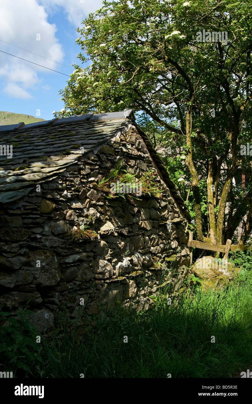 Un vecchio fienile, nel distretto del lago, Cumbria, Regno Unito. Foto Stock