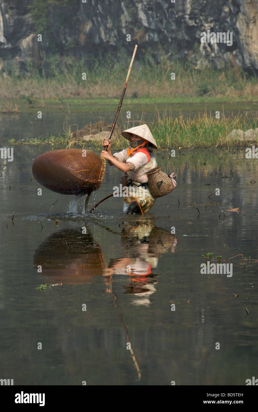 La cattura di acqua fresca gamberetti Ngo Dong River Tam Coc Ninh Binh Provincia Nord Vietnam Foto Stock