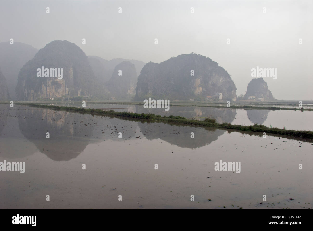 La mattina presto umida risaia Tam Coc Ninh Binh Provincia Nord Vietnam Foto Stock