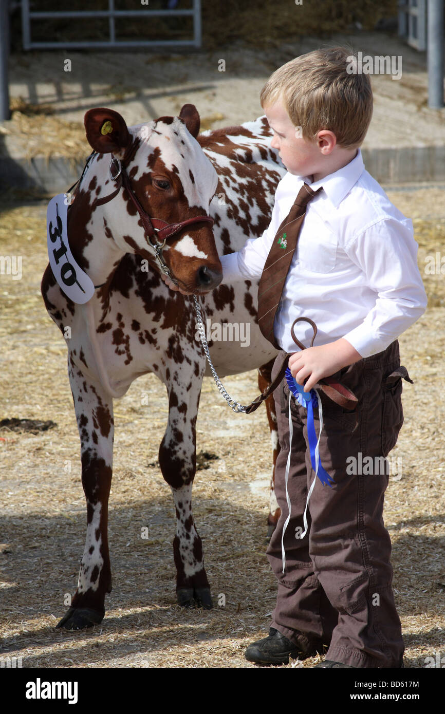 Un giovane ragazzo con un vitello a Bakewell Show, Bakewell, Derbyshire, Engalnd, U.K. Foto Stock