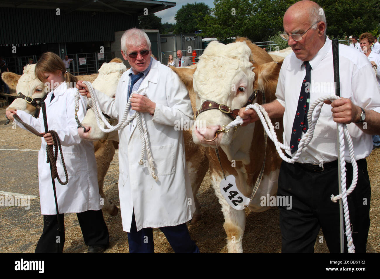 Gli allevatori di bestiame al Bakewell Show, Bakewell, Derbyshire, England, Regno Unito Foto Stock