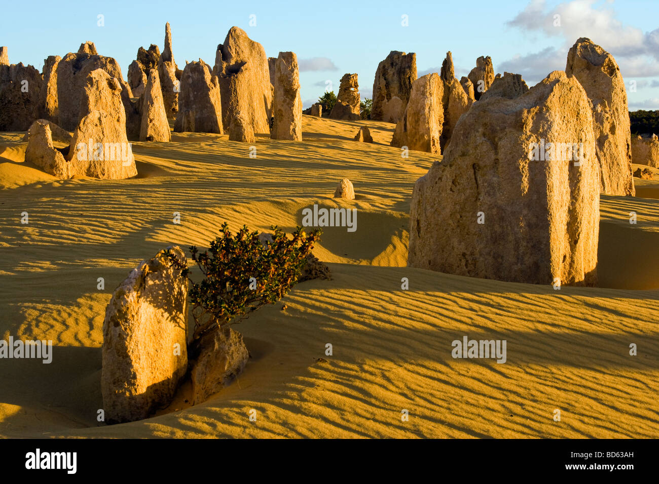 I Pinnacoli Nambung National Park Foto Stock