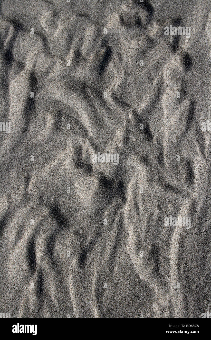La sabbia grigia increspature sul fiume Brahmaputra, Assam, India Foto Stock