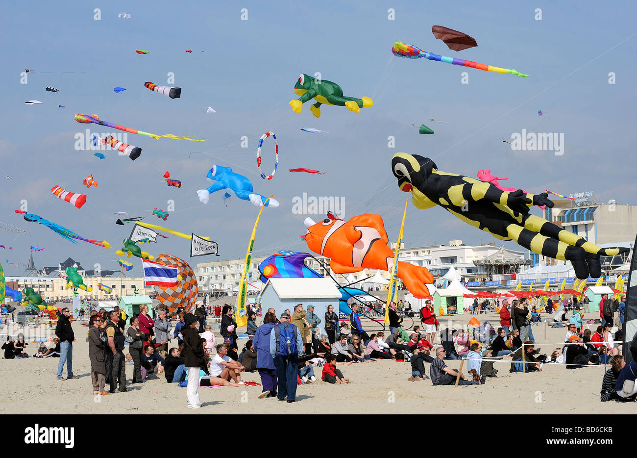 Berck-sur-mer (62) : International Kite Festival (2009) Foto Stock