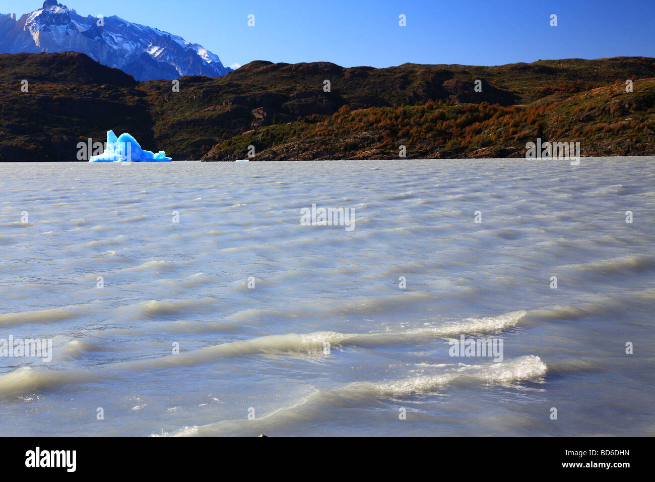 Cile : Parco Nazionale Torres del Paine Foto Stock