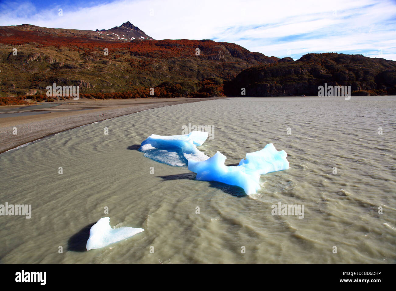 Cile : Parco Nazionale Torres del Paine Foto Stock