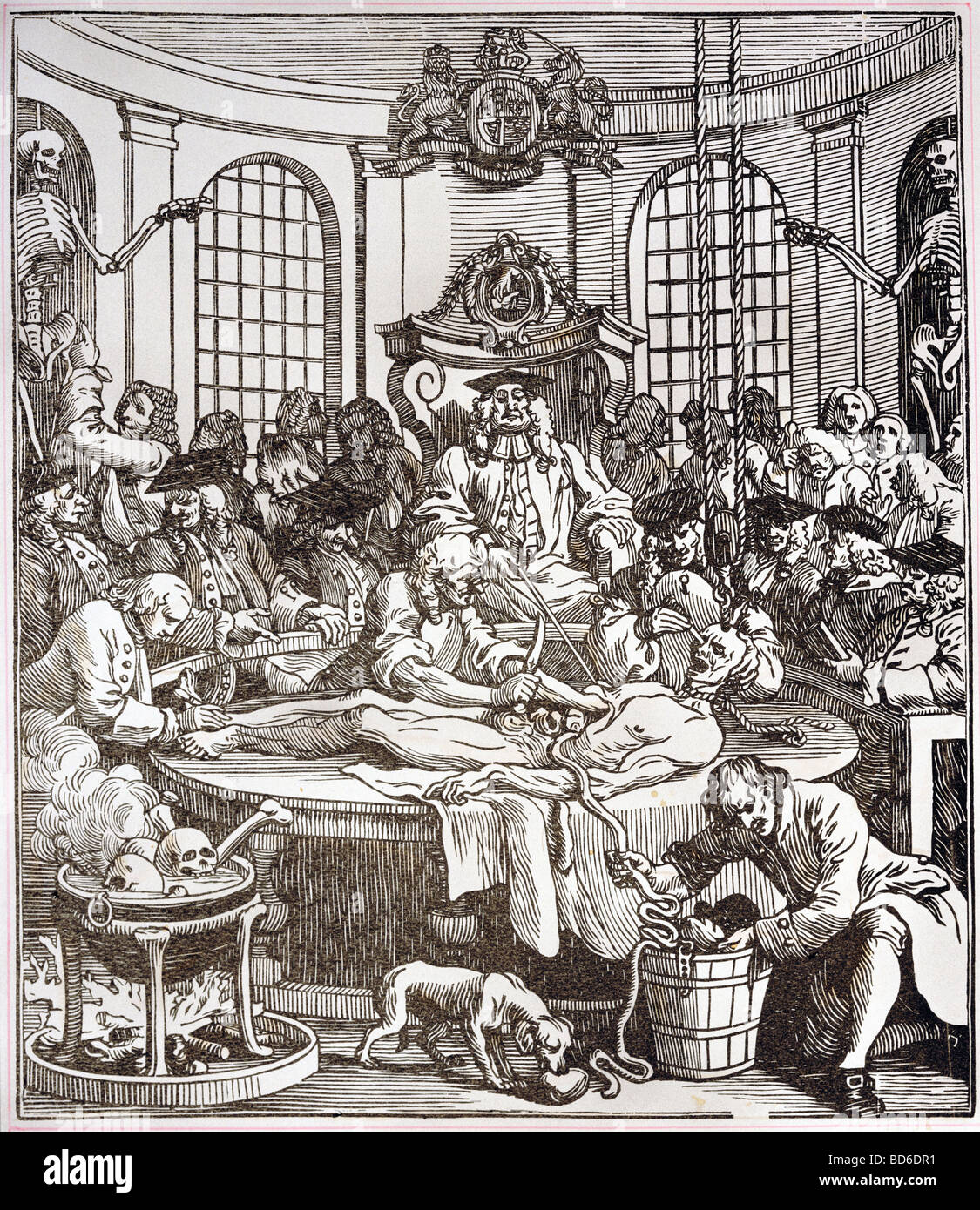Medicina, anatomia, caricatura, dissezione, incisione su rame di William Hogarth, serie 'nella ricompensa di crudeltà', 1750/1751, , artista del diritto d'autore non deve essere cancellata Foto Stock