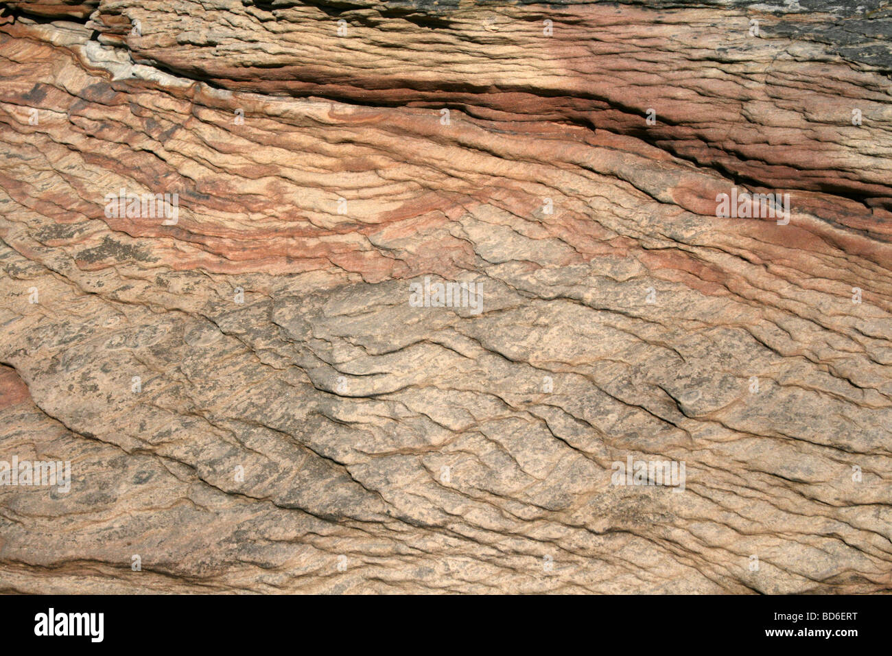 Strati di roccia in arenaria Bunter, Hilbre Island, Wirral, Merseyside, Regno Unito Foto Stock
