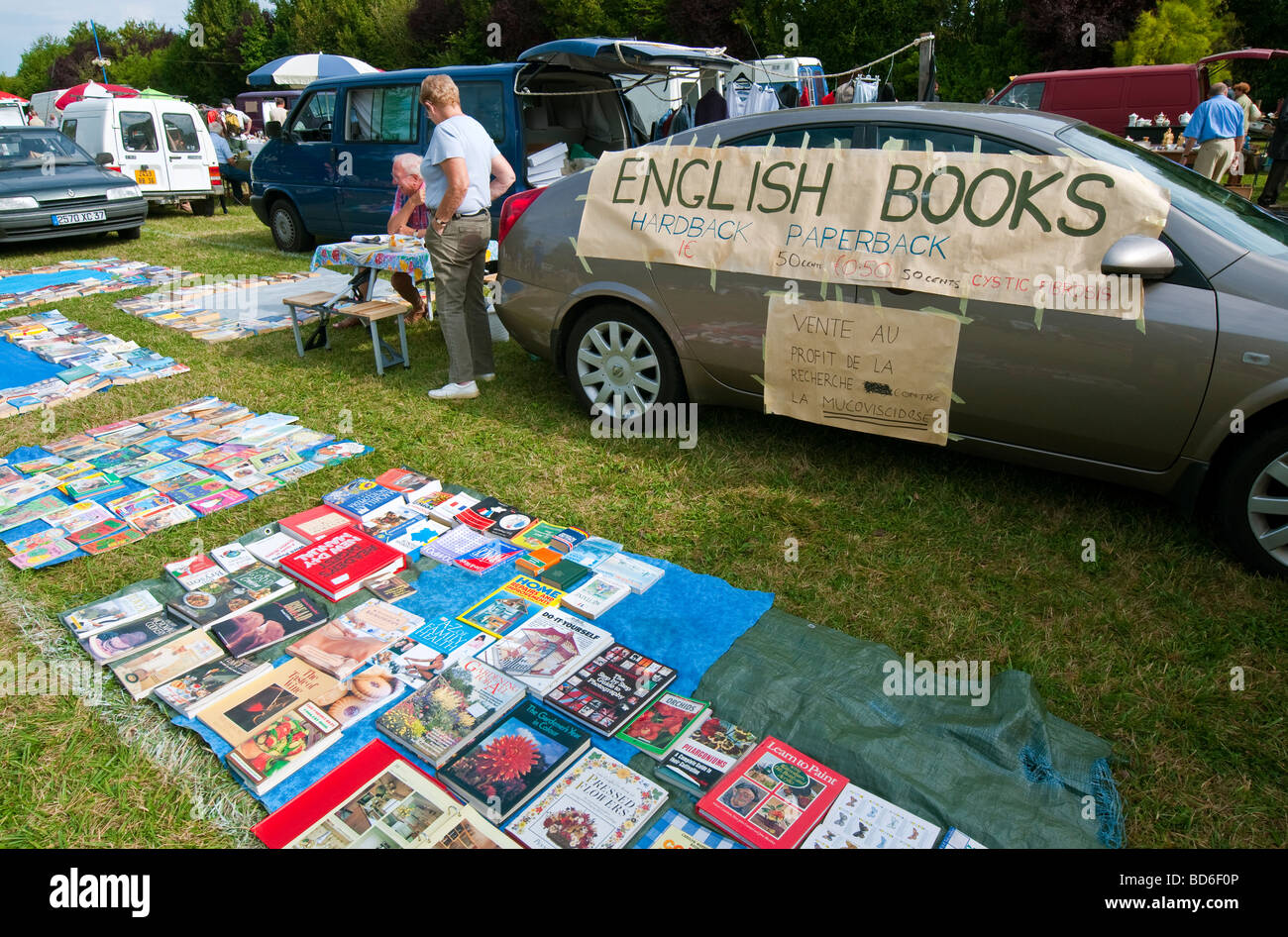 Di seconda mano libri in inglese per la vendita in vettura francese boot vendita - Francia. Foto Stock