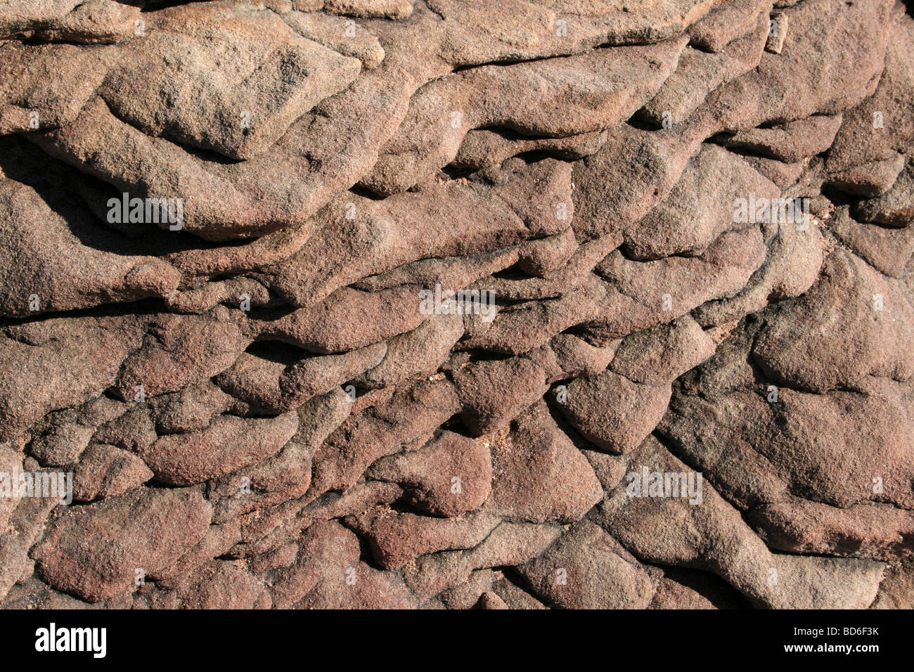 Strati di roccia in arenaria Bunter, Hilbre Island, Wirral, Merseyside, Regno Unito Foto Stock