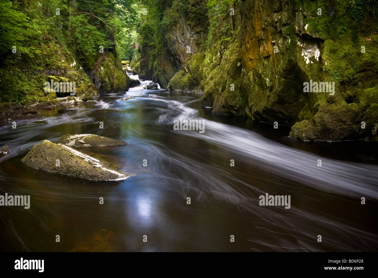 Fairy Glen - una pittoresca forra boscosa con fiume Conwy fluente attraverso. Vicino a Betws-y-Coed, Snowdonia, il Galles del Nord Foto Stock