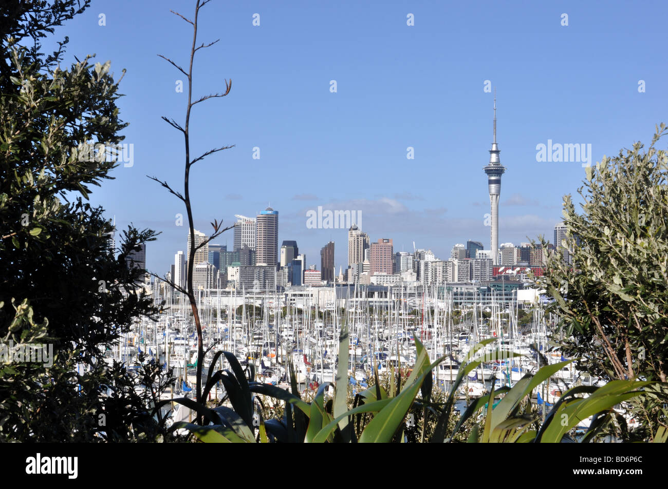 Città di Auckland dalla shelly beach road uscita del auckland Harbour Bridge guardando verso la Sky Tower su westhaven marina. Foto Stock