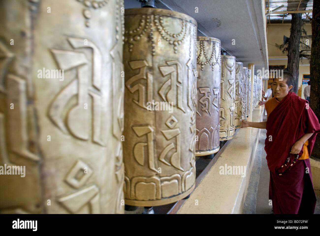Monaca buddista girando le ruote della preghiera. Tempio Kalachakra. McLeod Ganj. Dharamsala. India Foto Stock