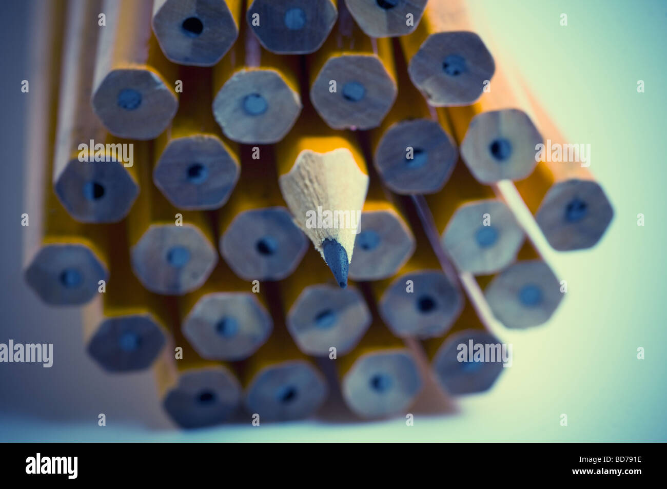 Matita in piedi fuori dalla folla Foto Stock