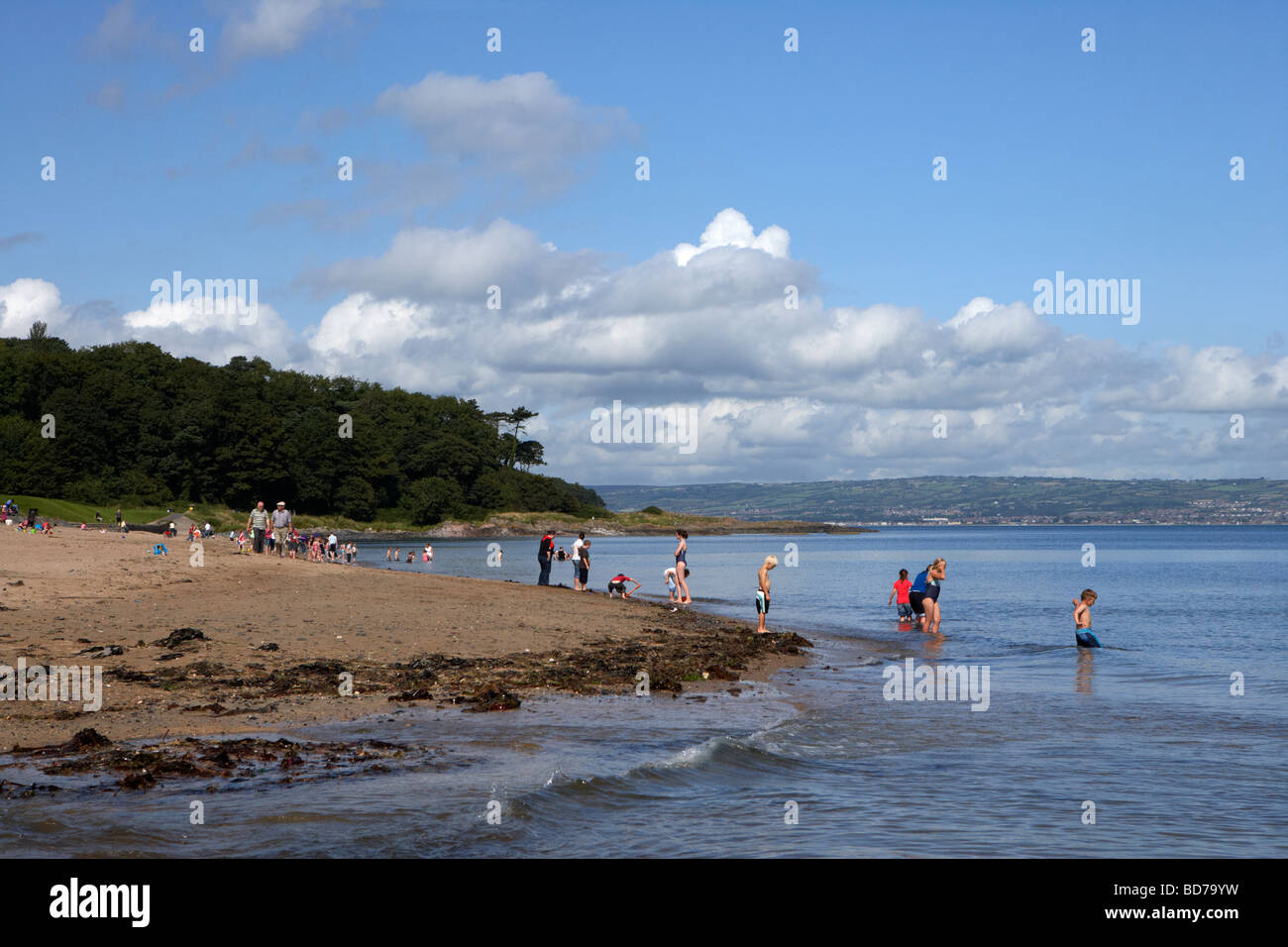 Crawfordsburn beach ora parte di crawfordsburn Country Park in North County down Irlanda del Nord Regno Unito Foto Stock