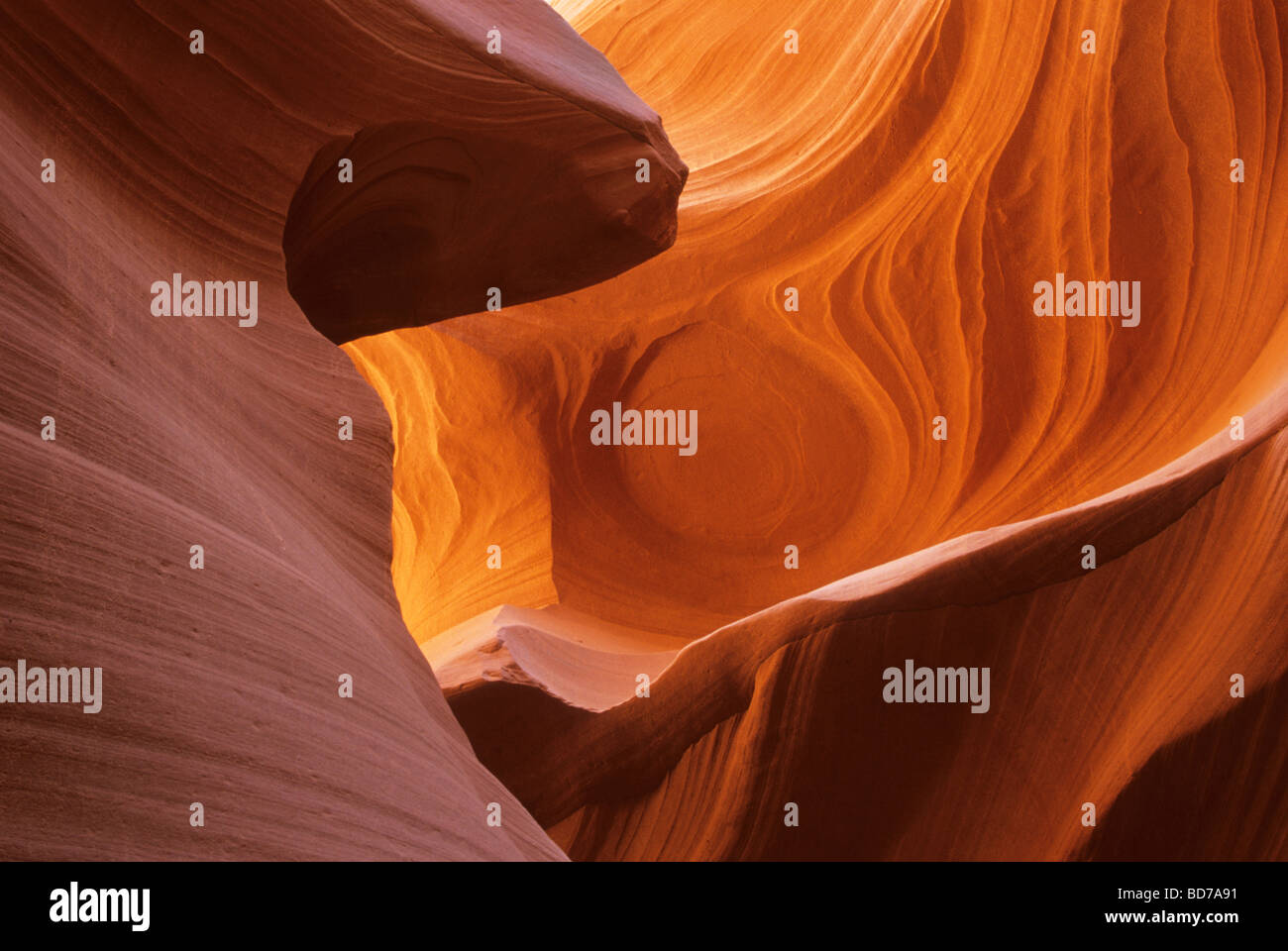 Stati Uniti d'America, Arizona, area di pagina, Lake Powell, Antelope Canyon, magica luce riflessa nello slot canyon Foto Stock