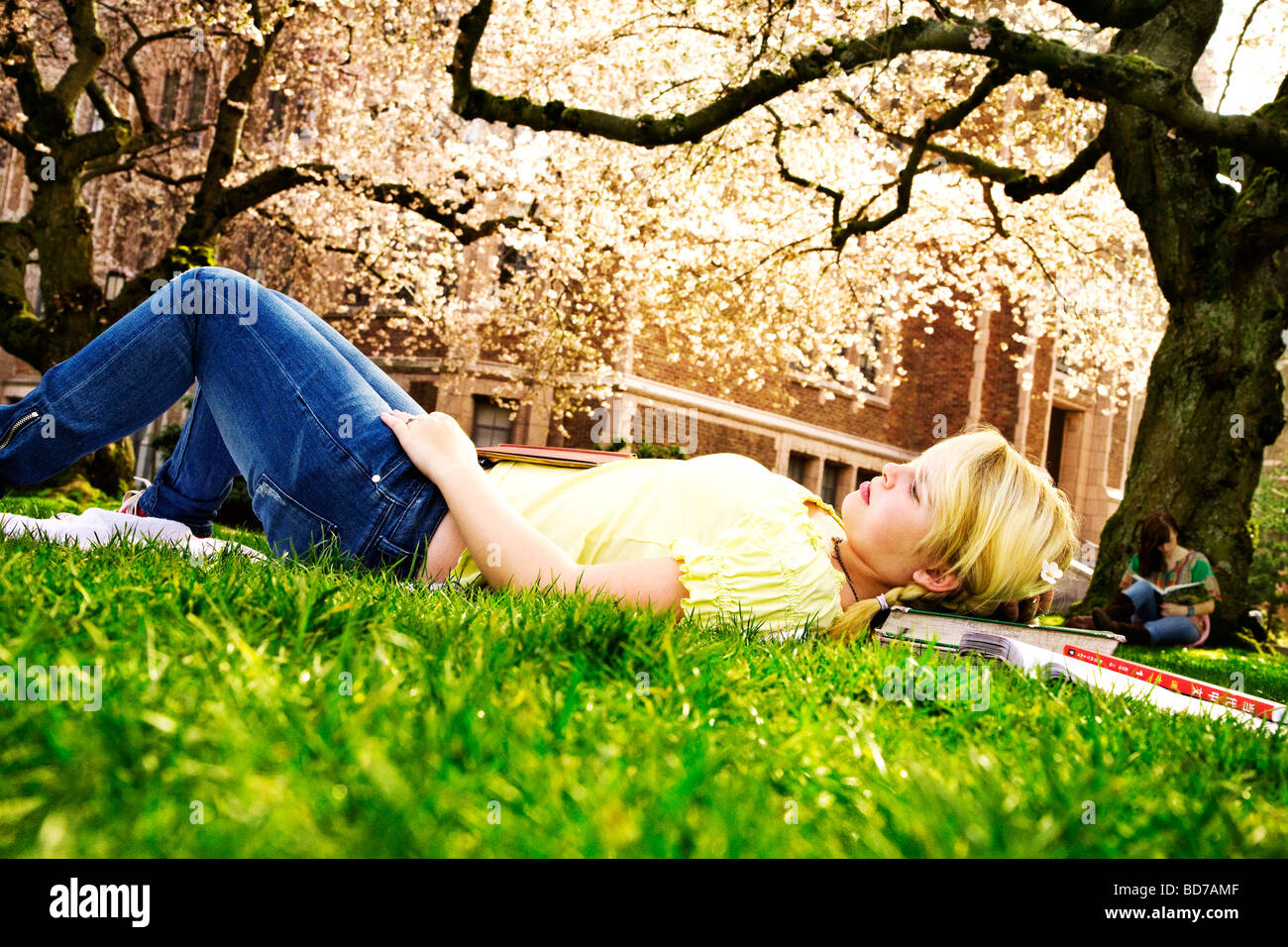 Teen ragazza sul campus universitario Foto Stock